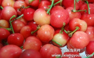 水果能空運么？航空托運水果收費和包裝須知