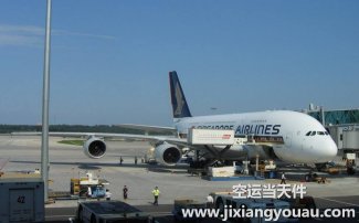 寵物空運：全國機場和航空公司對于航空托運寵物的規定